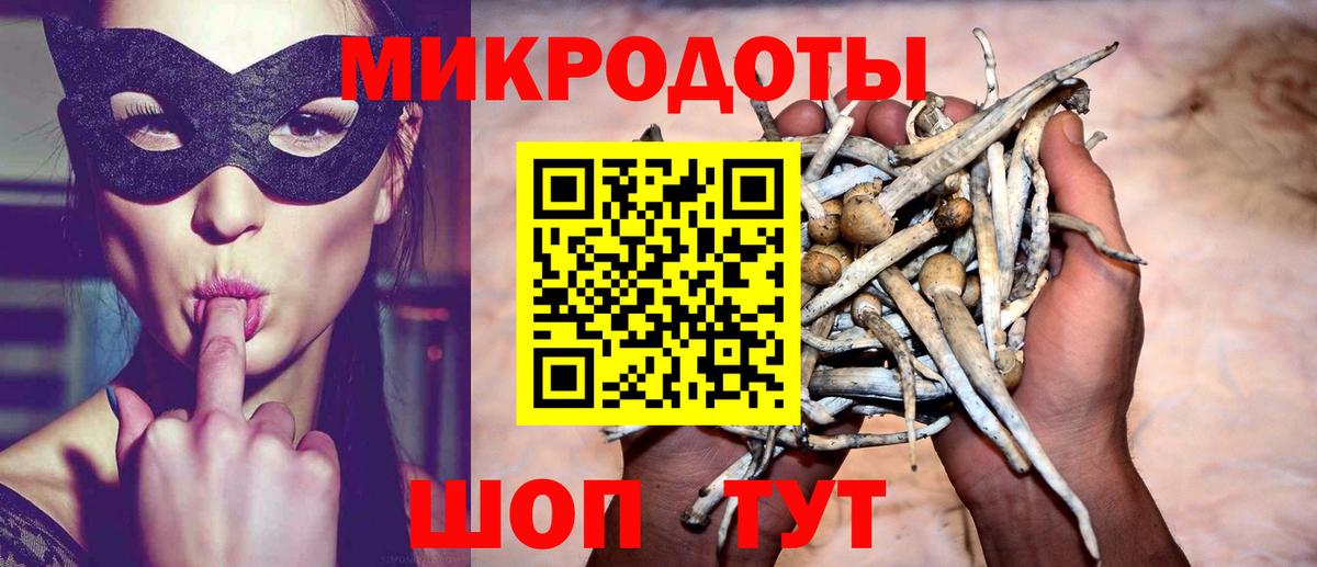 Псилоцибиновые грибы Psilocybine cubensis  Вход с VPN  Красноармейск 
